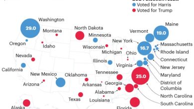 How Trump 2.0 is slashing NIH-backed research — in charts