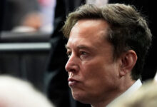 Mother of Elon Musk's child sues his AI company over sexual ...
